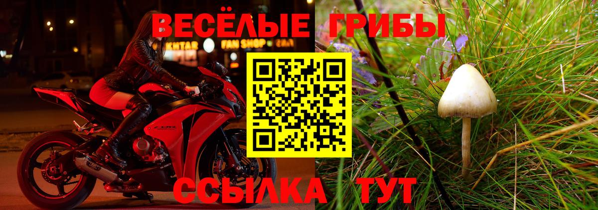 Архангельск  Псилоцибиновые грибы прущие грибы  Вход с VPN 