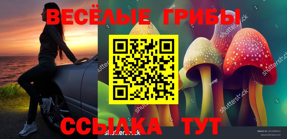 Галлюциногенные грибы Psilocybe Архангельск